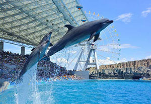 名古屋港水族館